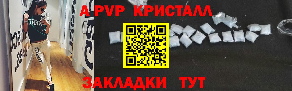 APVP СК  A PVP  Луга  Вход с VPN 