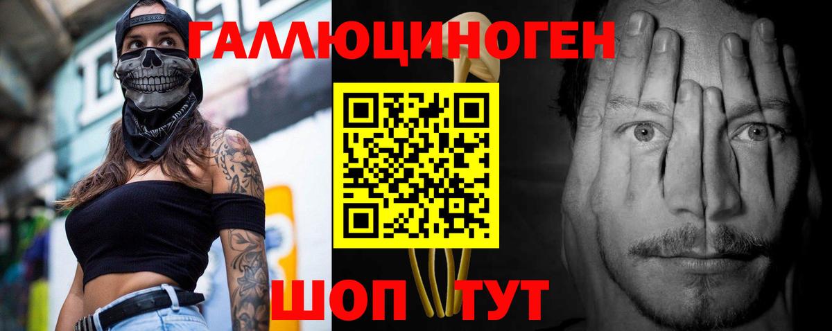 Псилоцибиновые грибы Psilocybine cubensis  Вход с VPN  Луга 